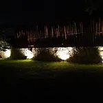 Iguanas Rana Bacalar