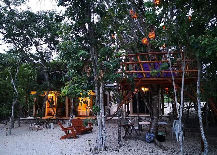 Iguanas Rana Bacalar