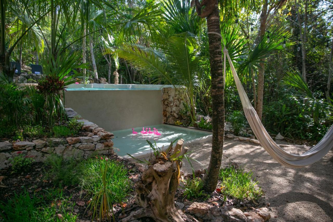 Buenavista Bacalar Jungle Experience