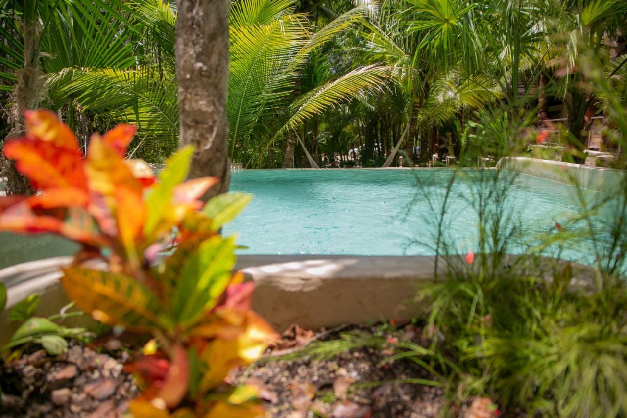 Hotel Buenavista Bacalar Jungle Experience 3*