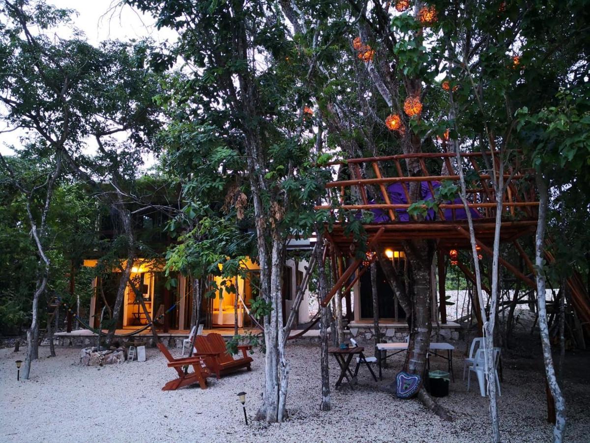 Lodge Iguanas Rana