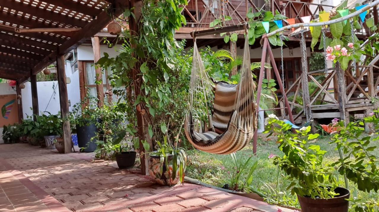 Colibri 3* Bacalar