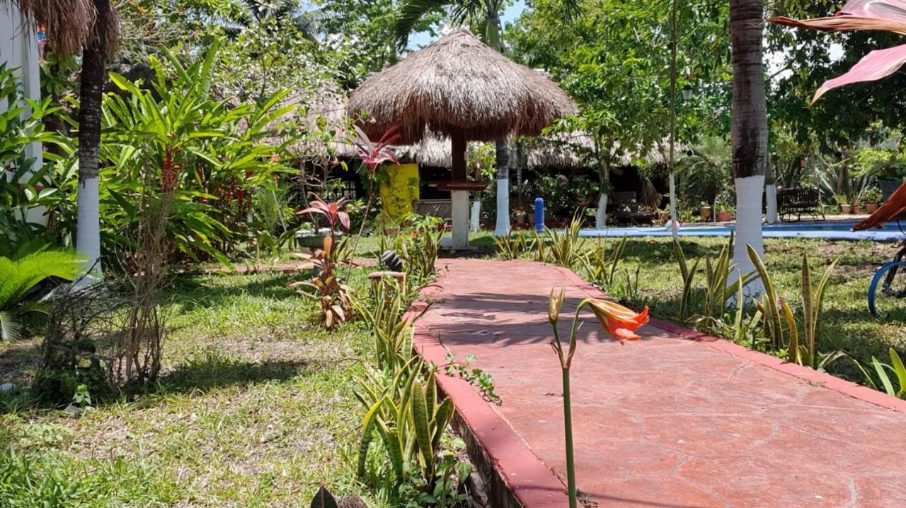 Colibri Bacalar