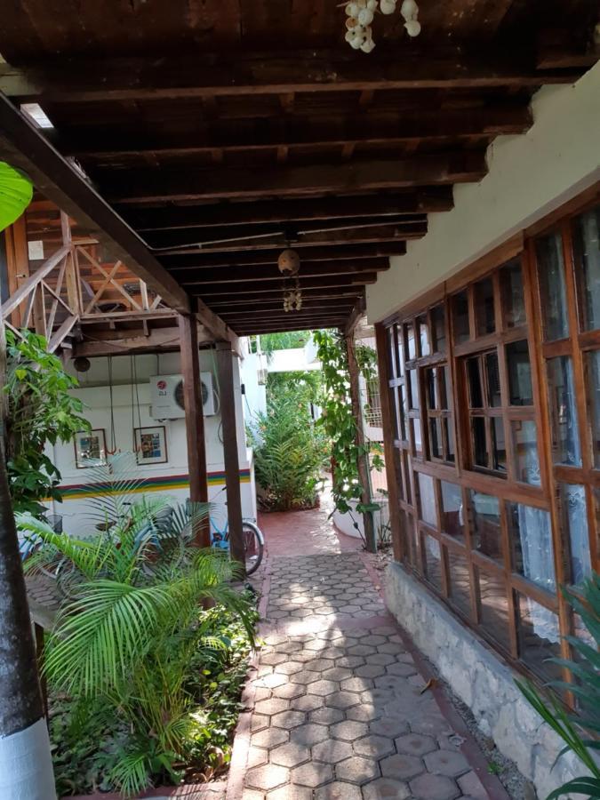 Hotel Colibri 3*
