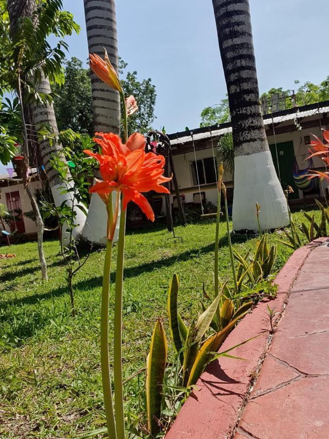 Colibri Hotel 3*