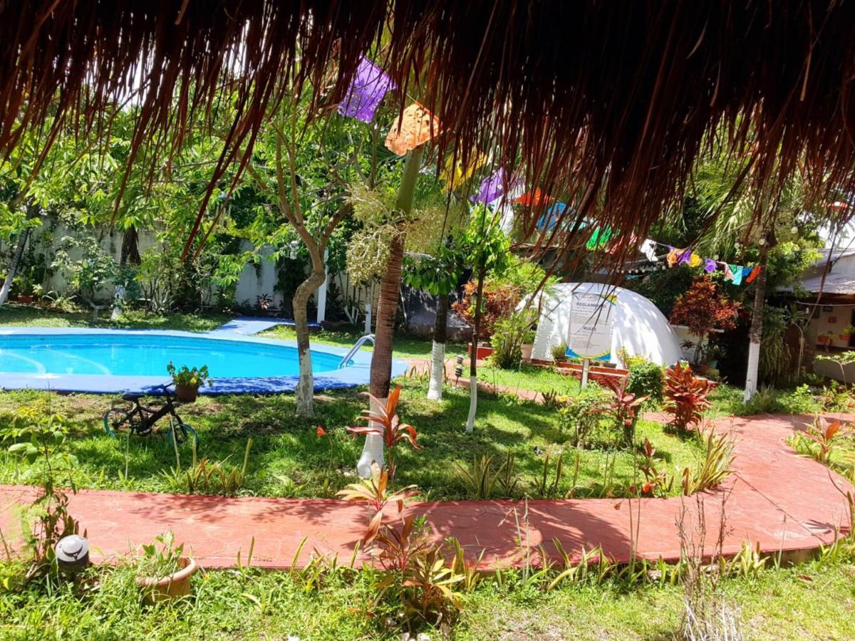 Hotel Colibri