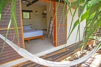 Buenavista Bacalar Jungle Experience