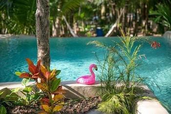 Buenavista Bacalar Jungle Experience