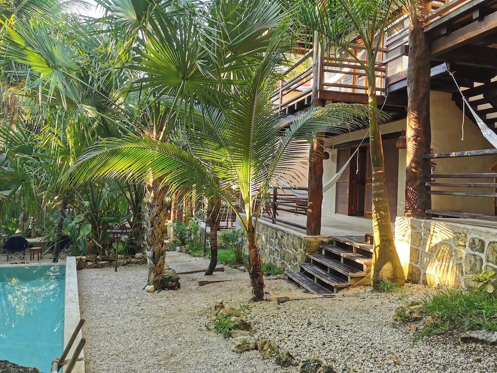 Buenavista Bacalar Jungle Experience Buenavista (Quintana Roo)