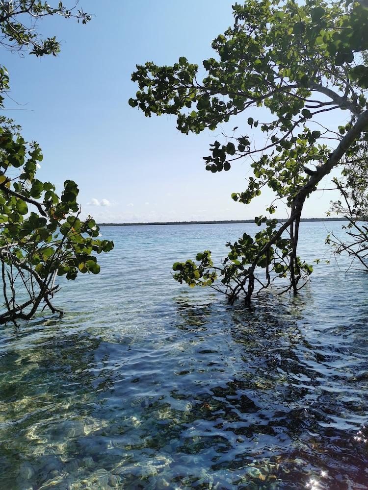 Hotel Buenavista Bacalar Jungle Experience