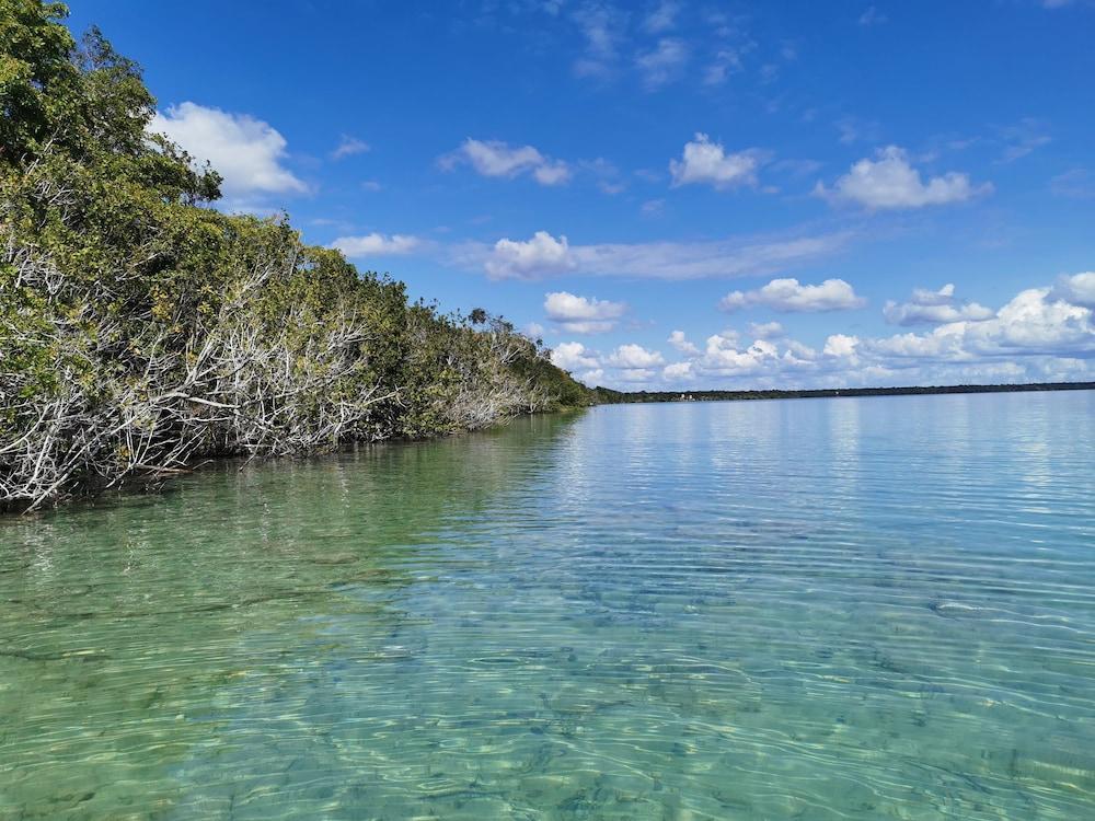 Hotel Buenavista Bacalar Jungle Experience 3*