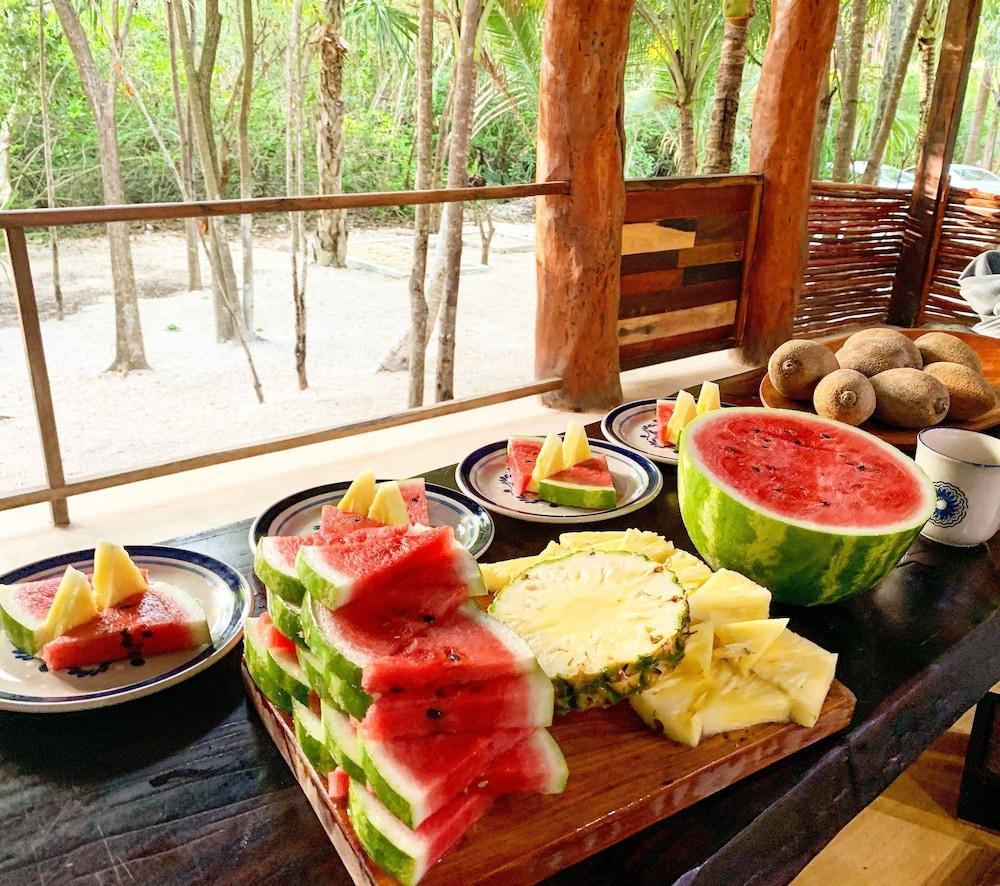 Buenavista Bacalar Jungle Experience