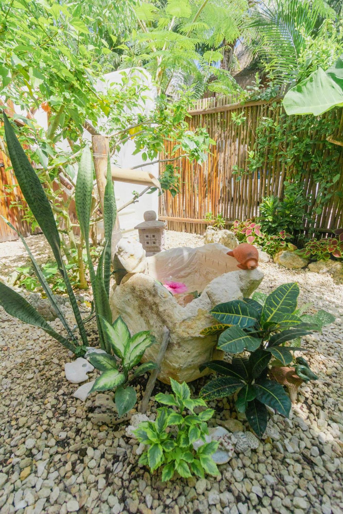 Maison Hotel Bacalar