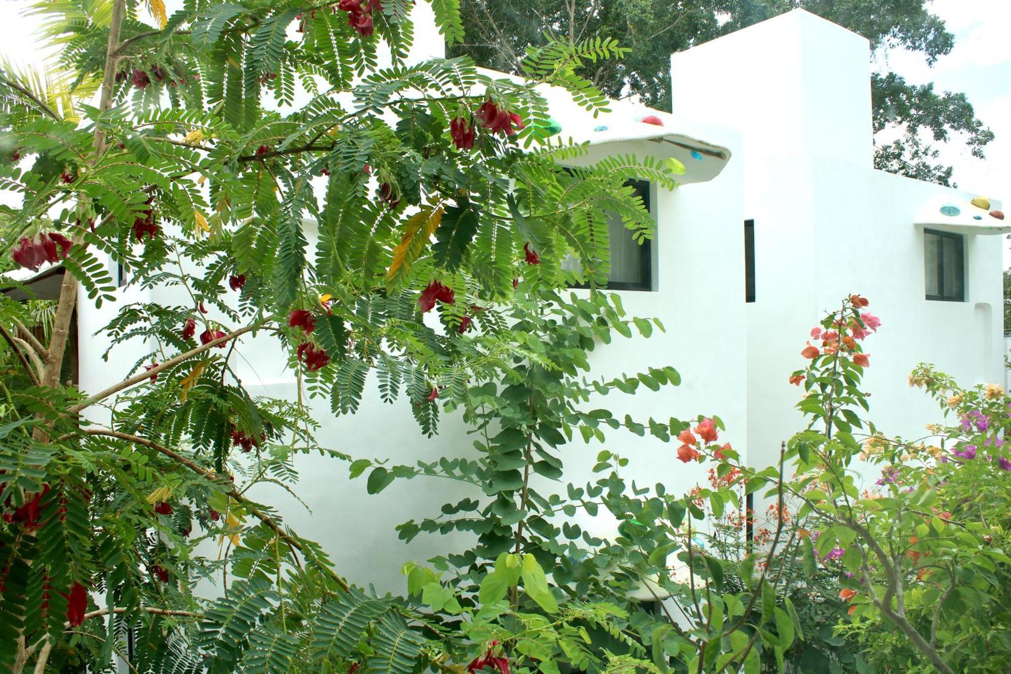 Maison Bacalar