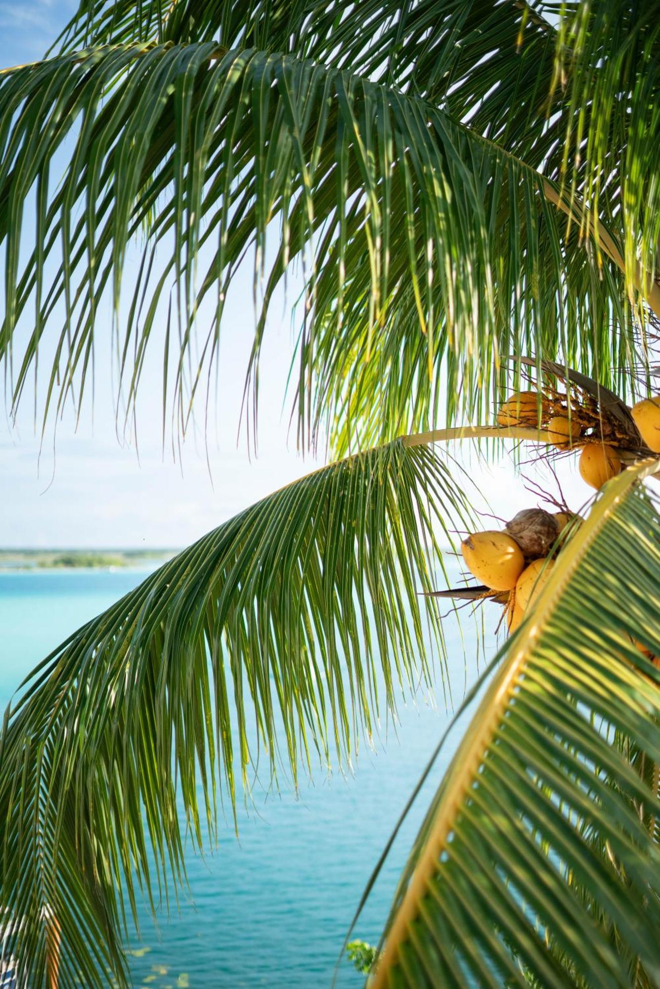 Casa Arabe Bacalar