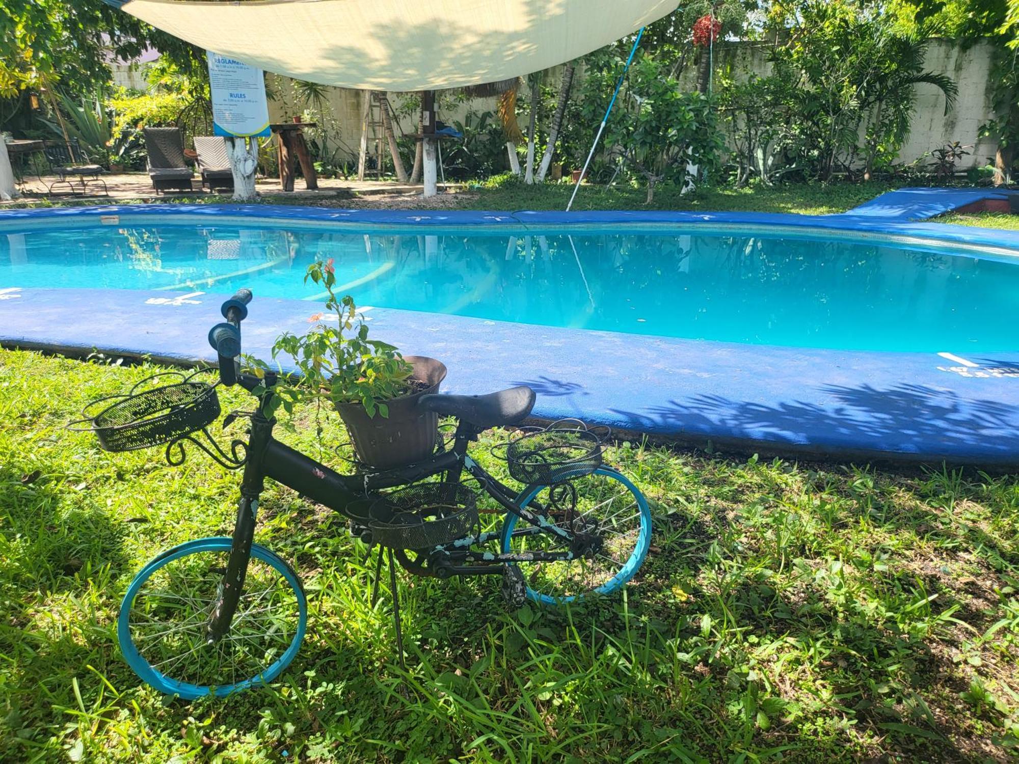 Colibri Hotel 3*