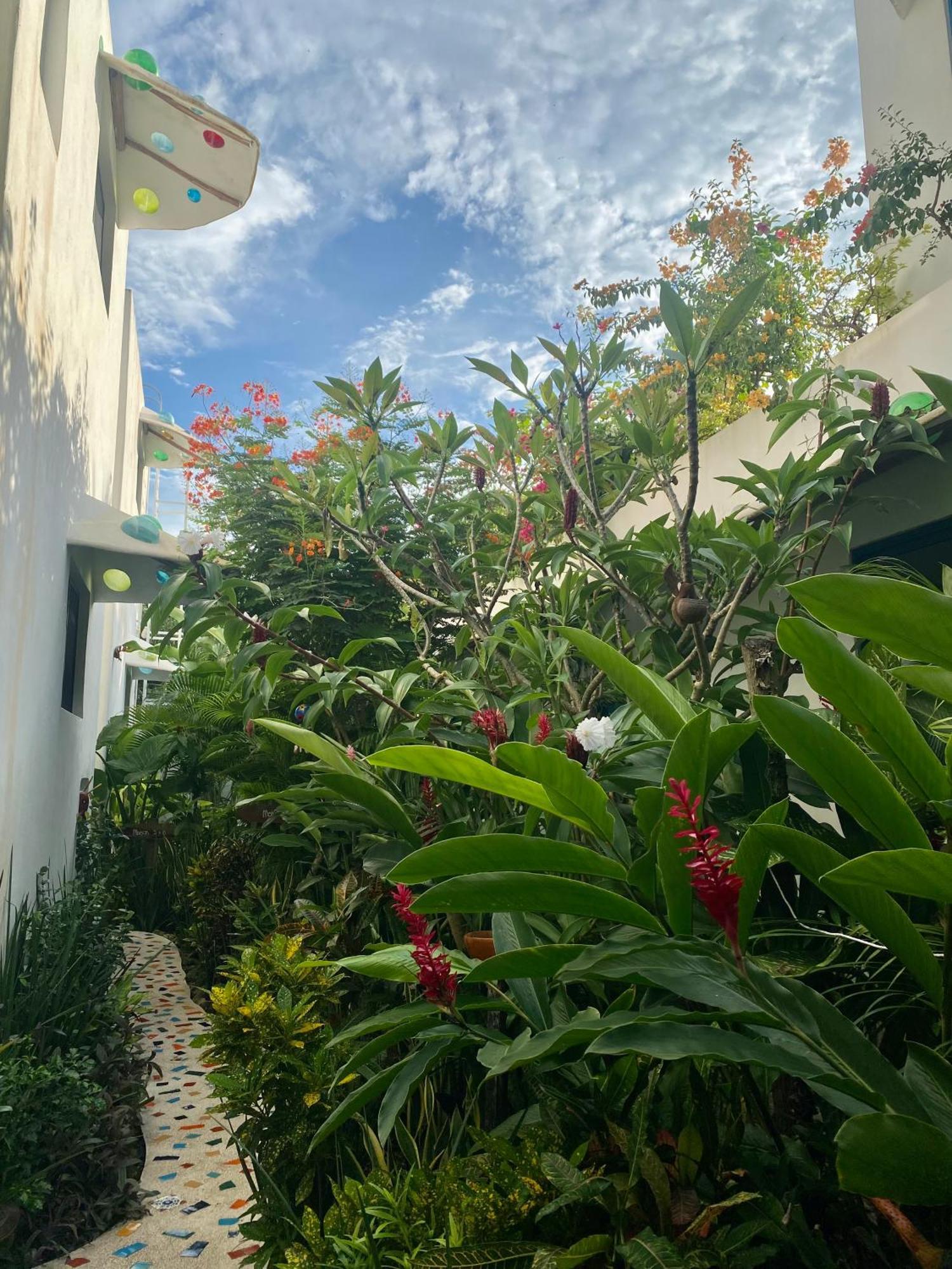 Maison Bacalar