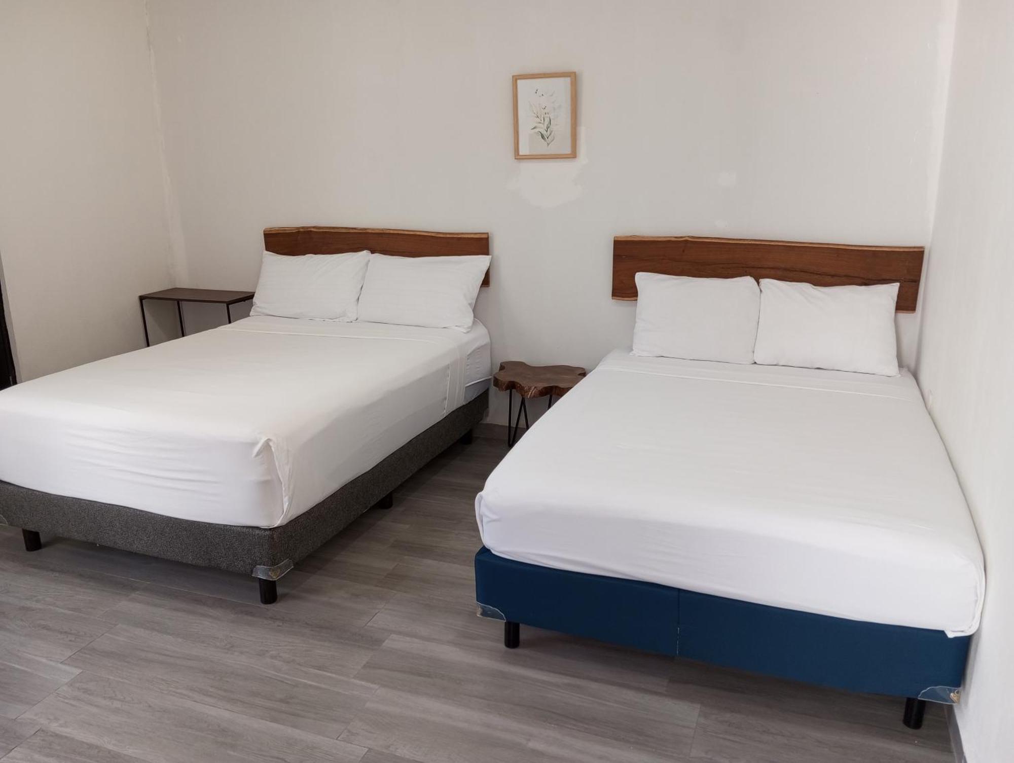 Casa Bosque Luciernagas Homestay