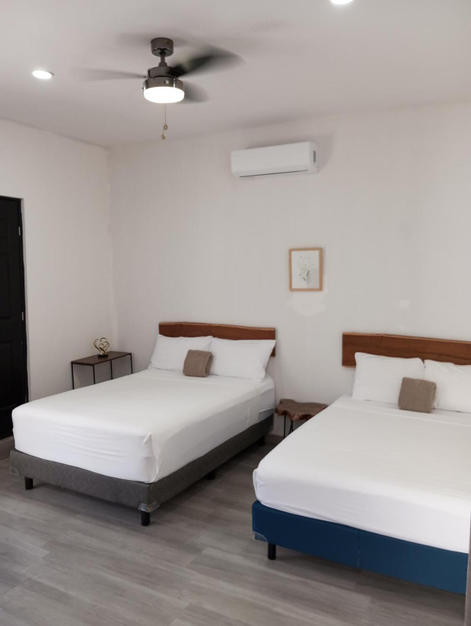 Homestay Casa Bosque Luciernagas *