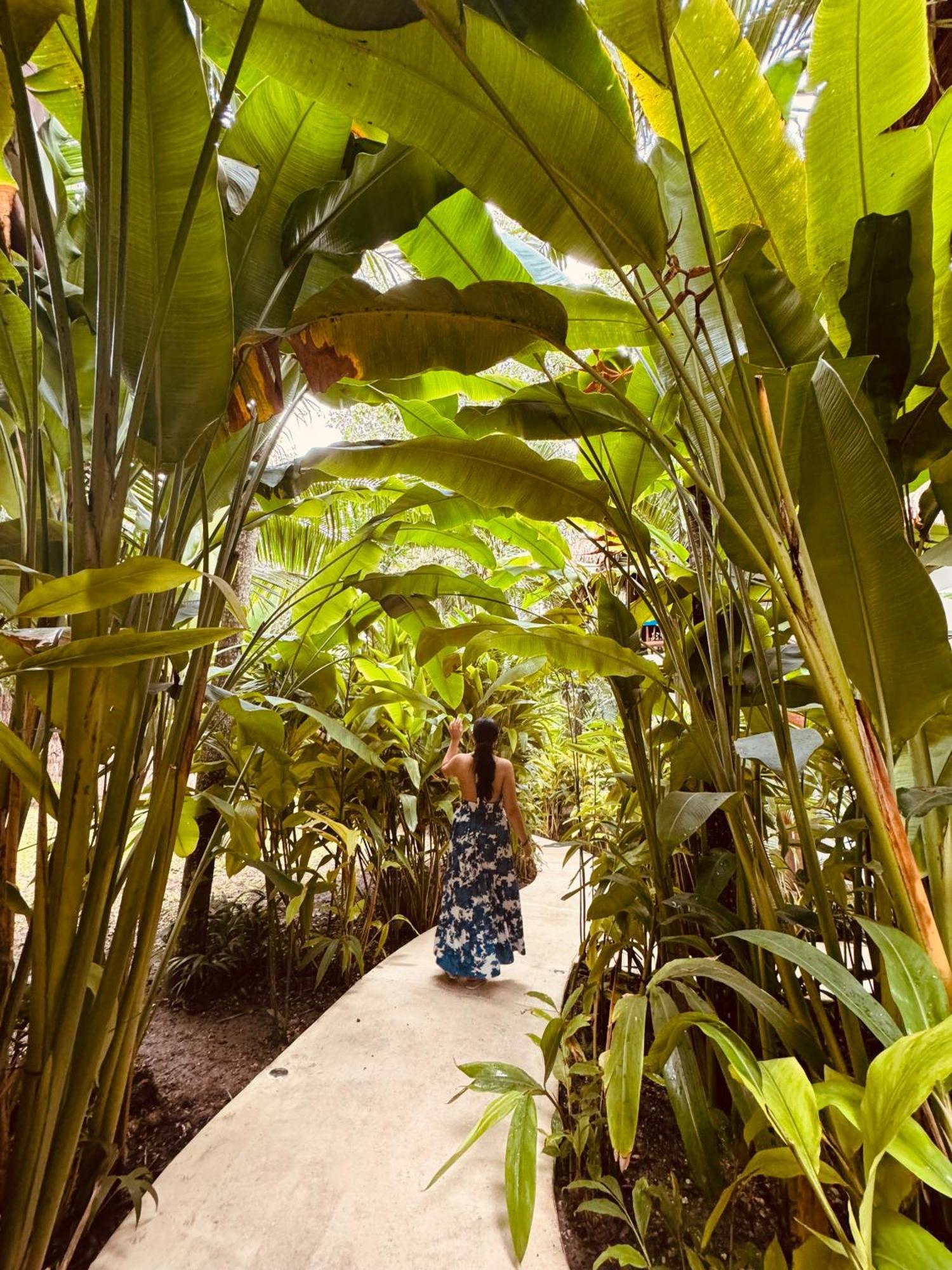 Amarbacalar Hotel Bacalar