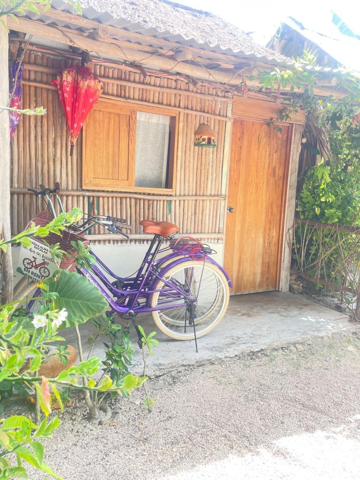 Guest house Alma *