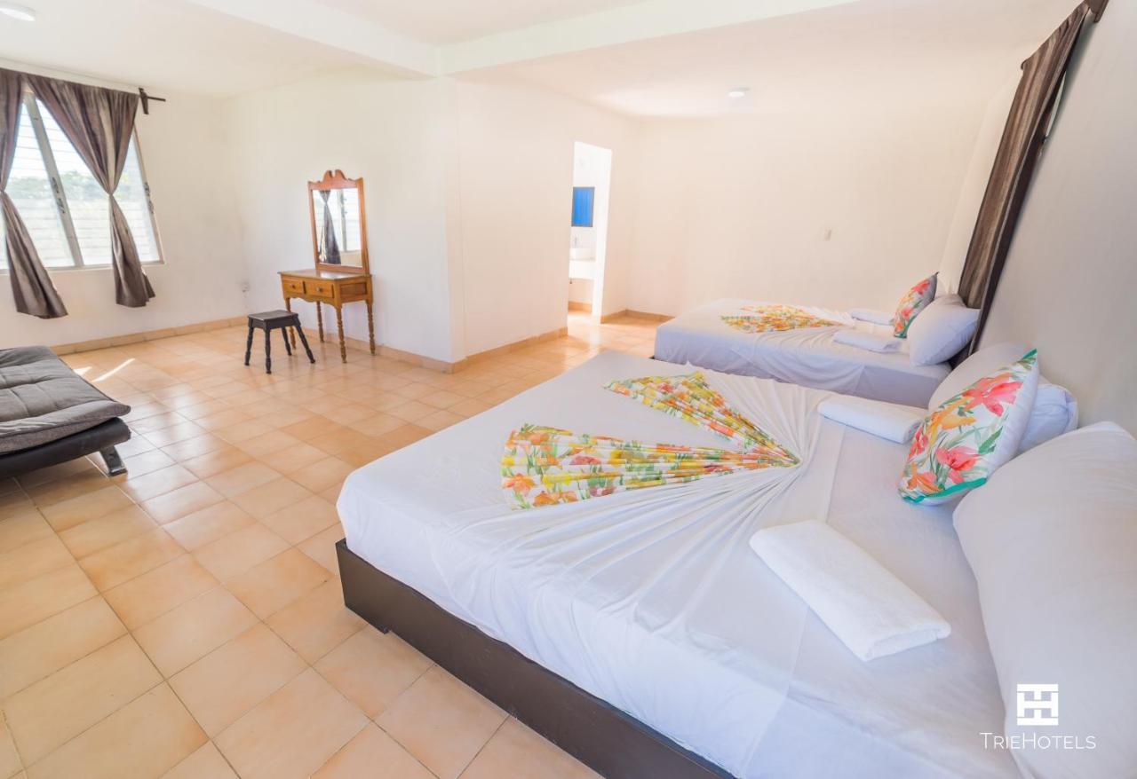 Blue Matisse Hotel 2*