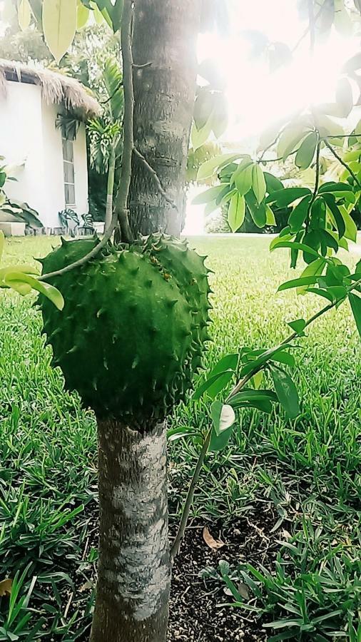 Holiday home Casa Laguna De Jade Bacalar