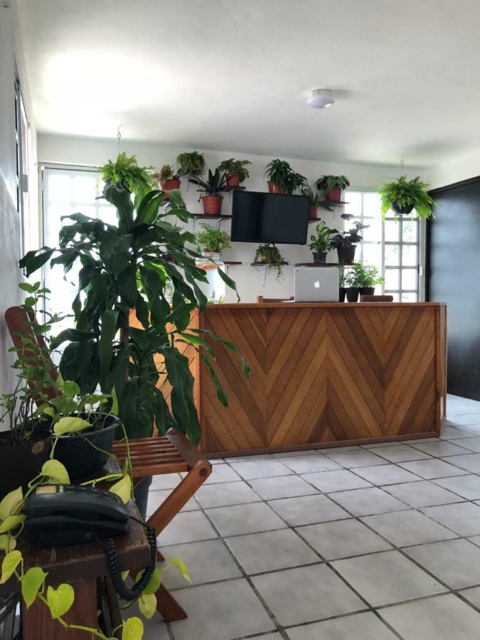 Xibalba Hostal