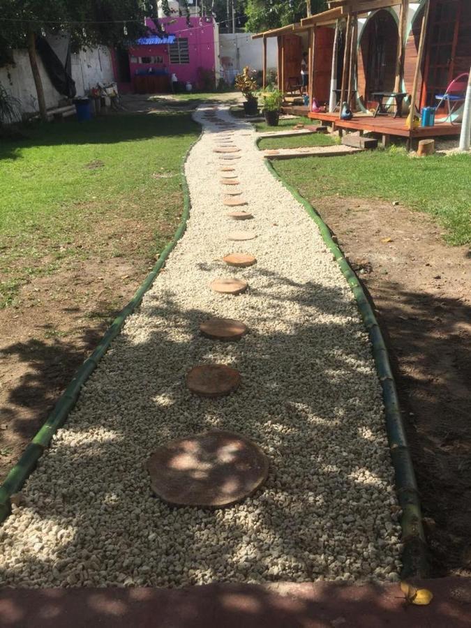Capsula Bacalove Bacalar