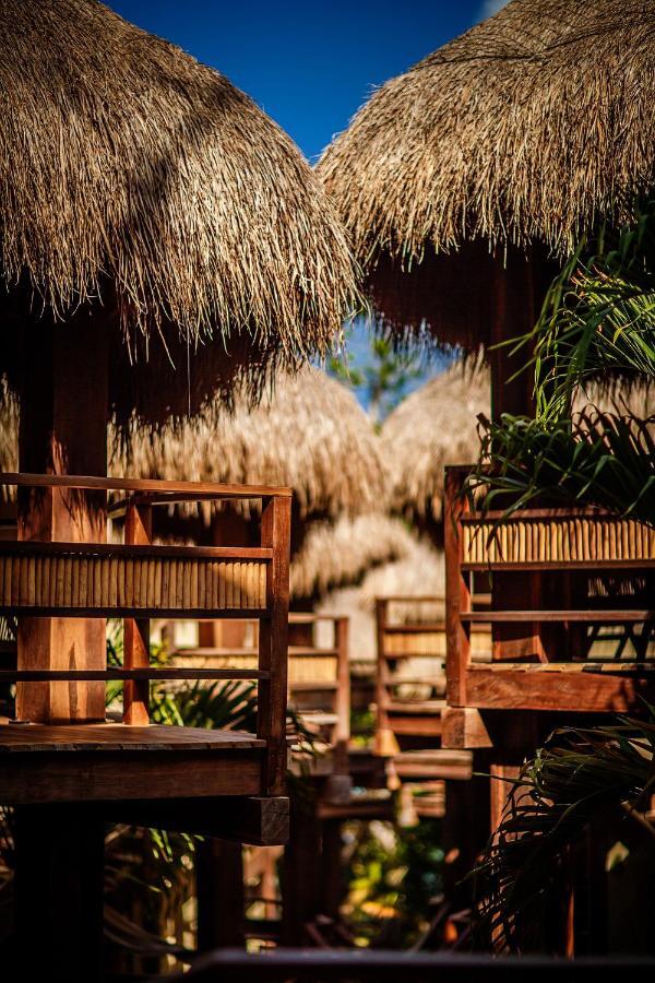 Hotel Carolina Bacalar