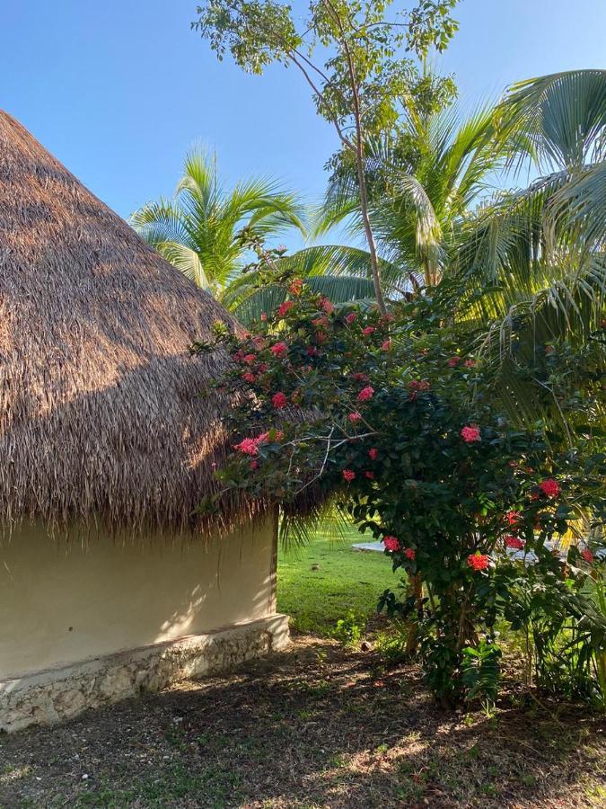 Hotel Quinta