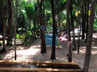 Hotel Buenavista Bacalar Jungle Experience 3*