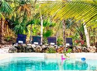 Hotel Buenavista Bacalar Jungle Experience 3*
