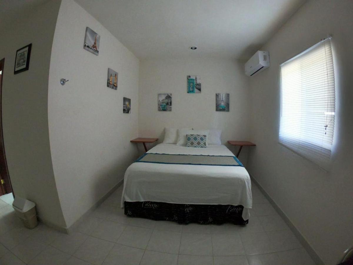 Bamboo Bacalar