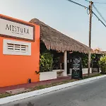 Blue Palm Bacalar