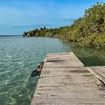Bufo Alvarius Sanctuary Bacalar