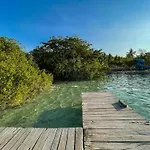 Bufo Alvarius Sanctuary Bacalar