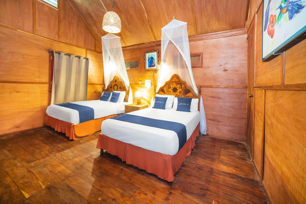 Capital O Colibri Hotel 2*