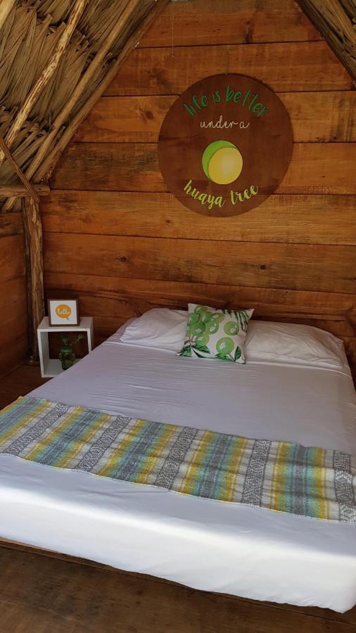 Campsite El Buho Eco-cabanas