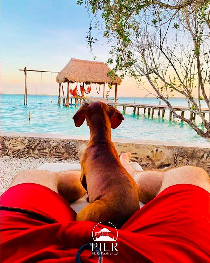 Bed and breakfast Pier - Bacalar