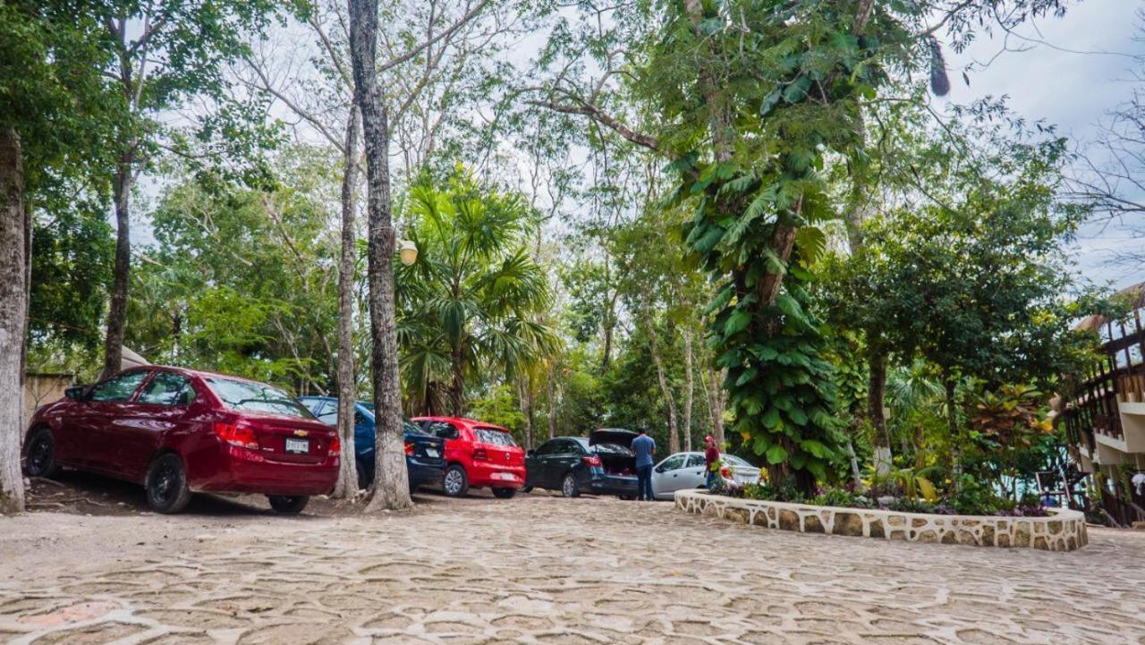 Pier - Bacalar
