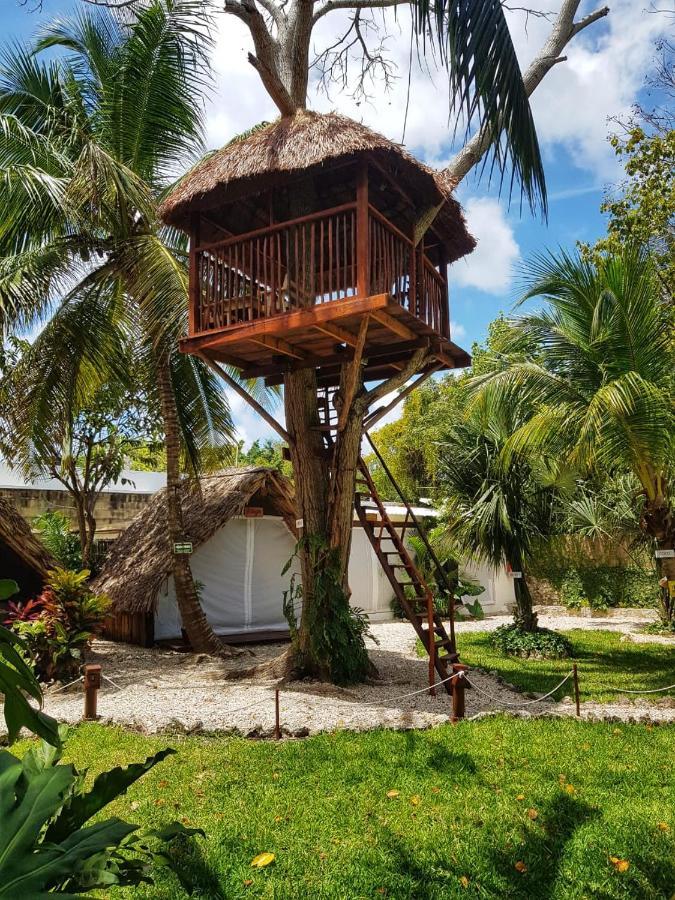 El Buho Eco-cabanas Campsite Bacalar