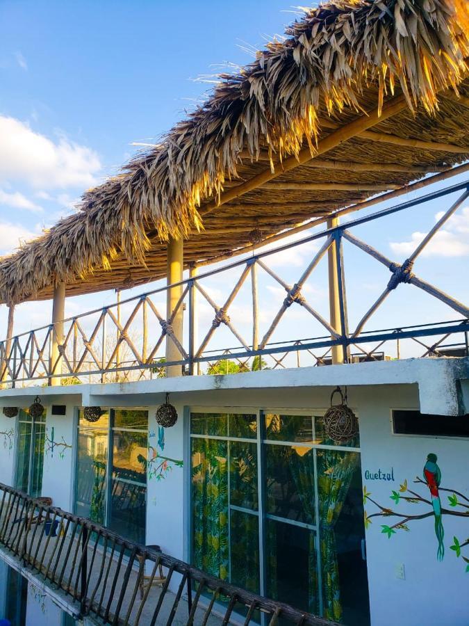 La Casa De Aves *