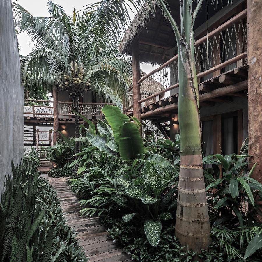 Casa Hormiga