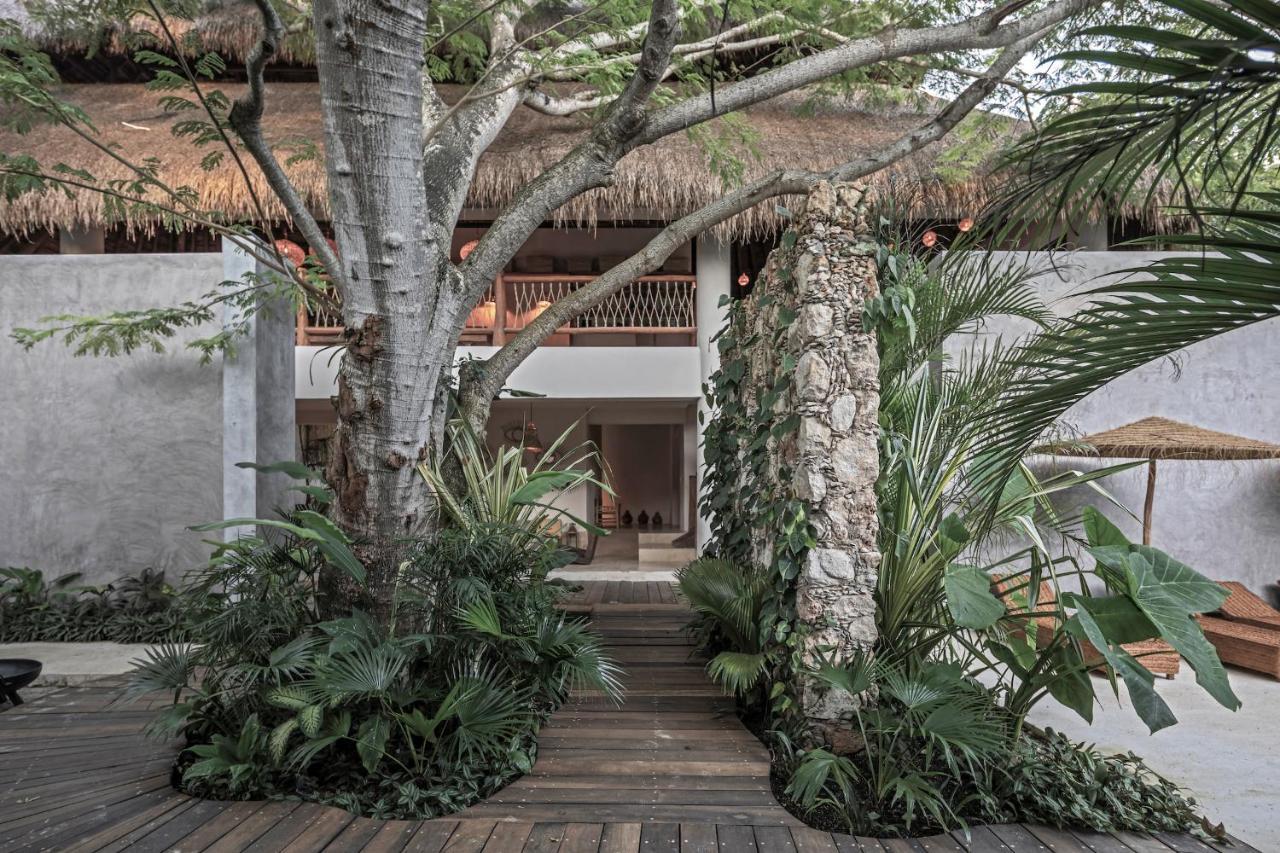 Casa Hormiga Hotel Bacalar