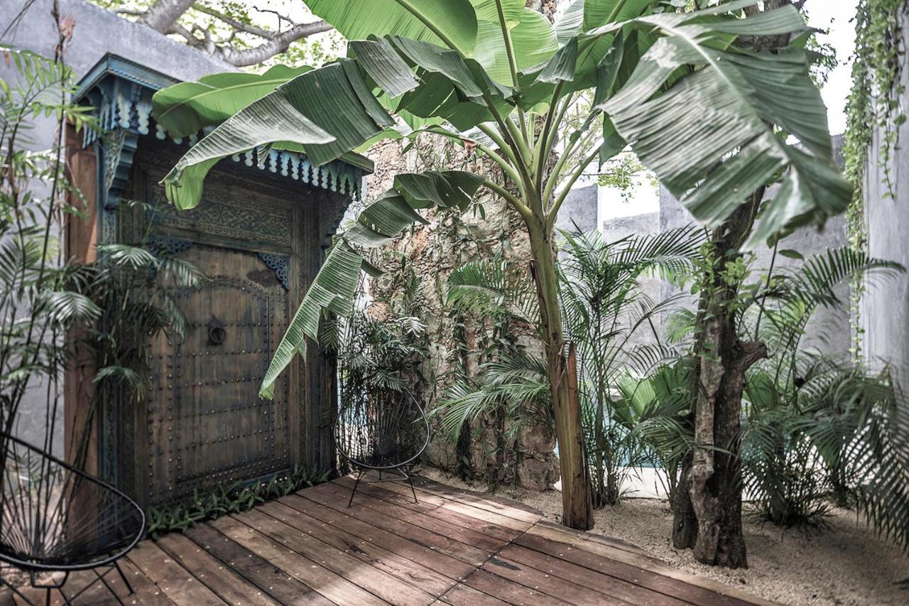 Casa Hormiga 5* Bacalar