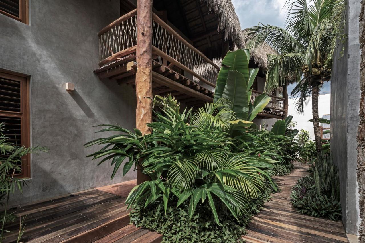 Casa Hormiga 5*