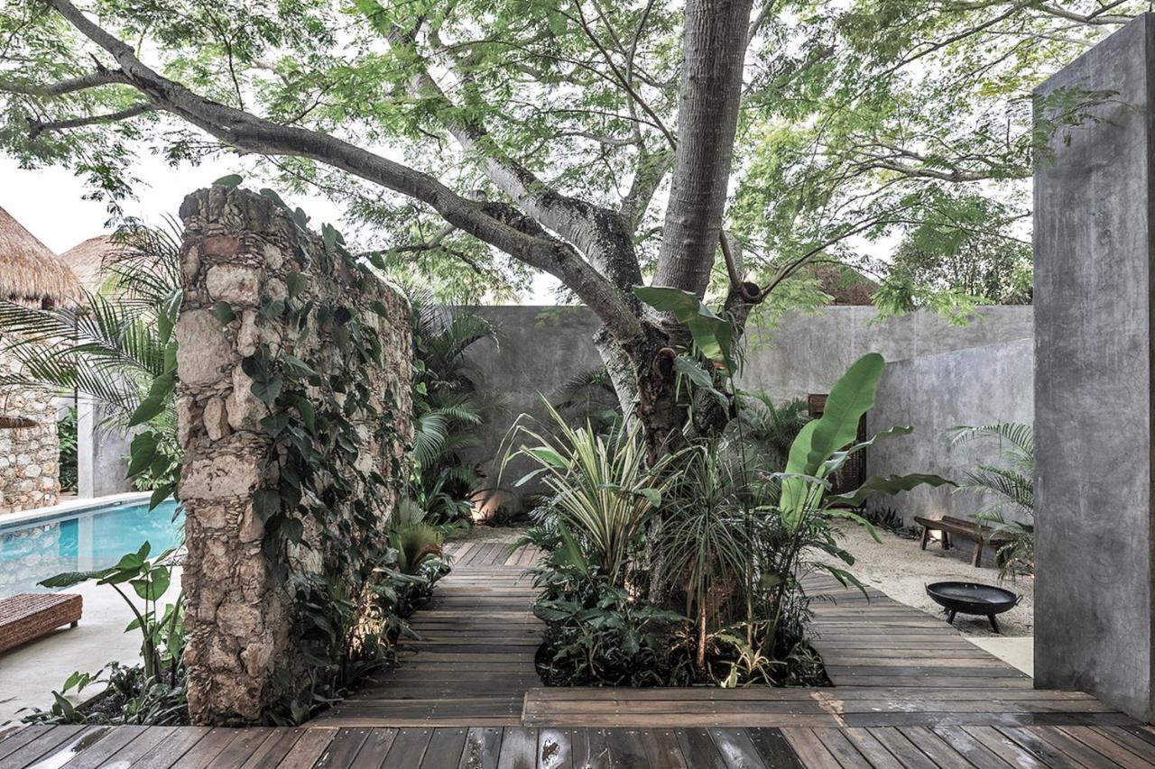 Casa Hormiga Bacalar