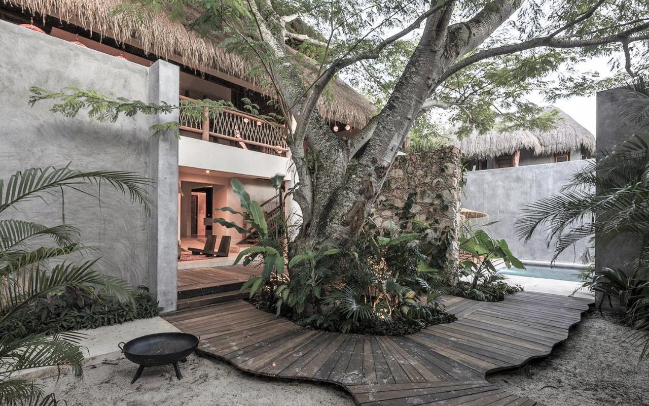 Casa Hormiga