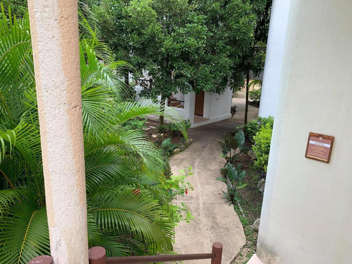 Bakalar